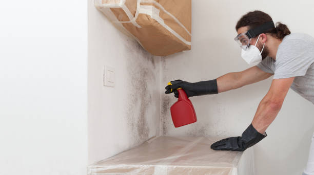 Professional Crawl Space Mold Removal technician working in Centreville, IL