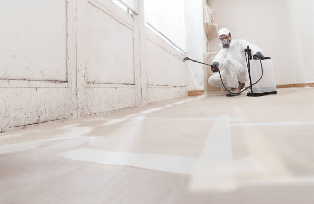 24/7 Emergency Crawl Space Mold Removal experts in Centreville, IL